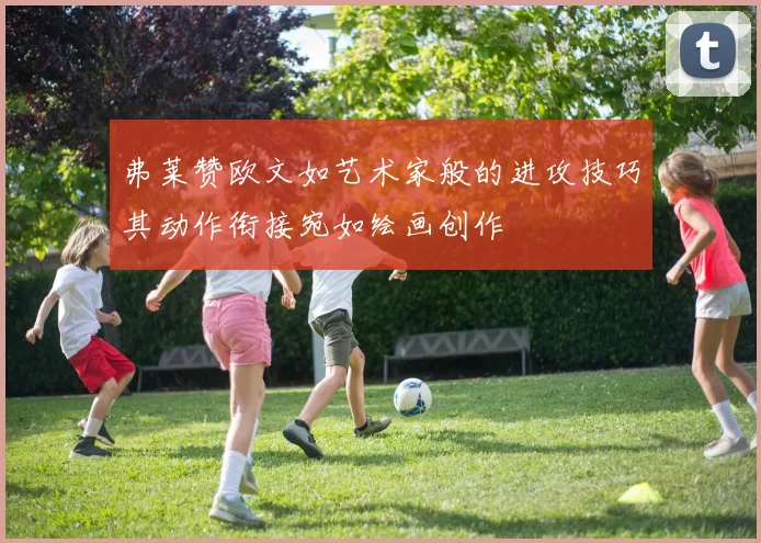 弗莱赞欧文如艺术家般的进攻技巧其动作衔接宛如绘画创作