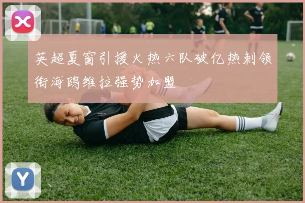 英超夏窗引援火热六队破亿热刺领衔海鸥维拉强势加盟